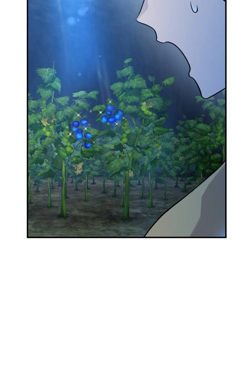 Solo Farming In The Tower Chapter 31 – It's Uncle Teo Meow! Page 64