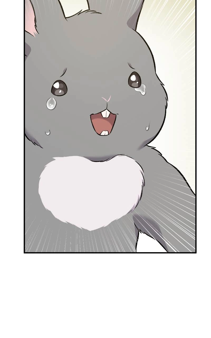 Solo Farming In The Tower Chapter 56 – Gray Bunnies Page 150
