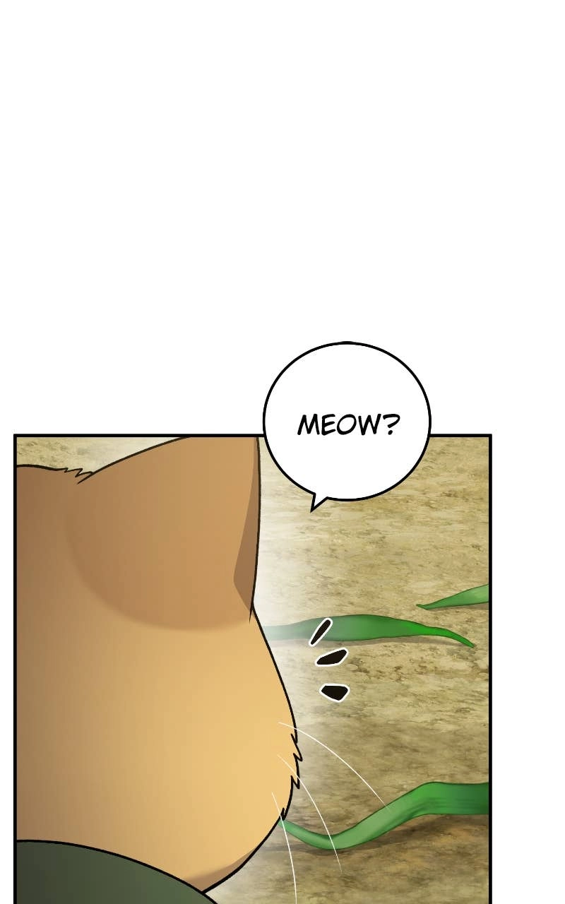 Solo Farming In The Tower Chapter 39 – The Cat Goes After the Thief Page 68
