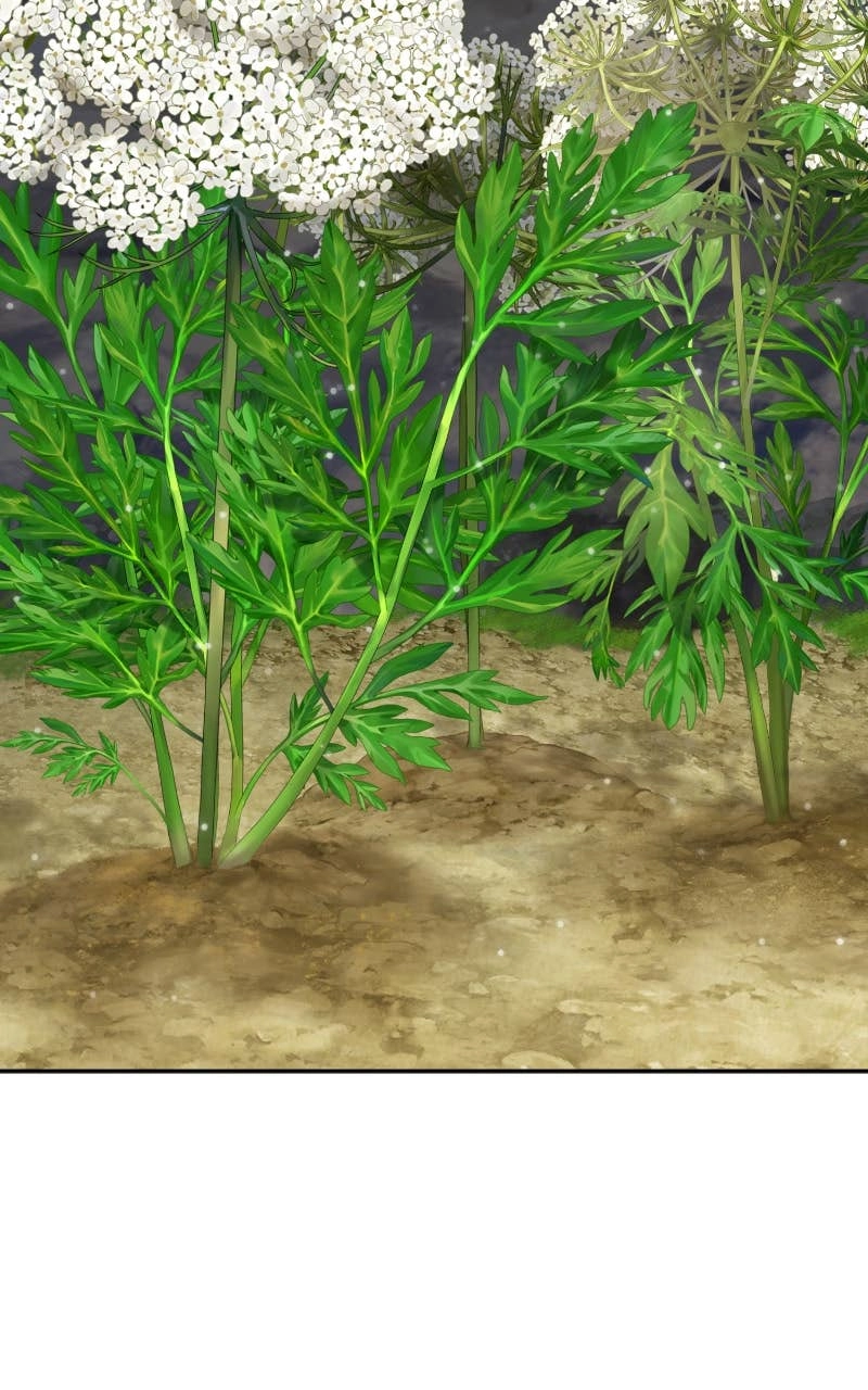 Solo Farming In The Tower Chapter 22 – Teo's Talent Page 10