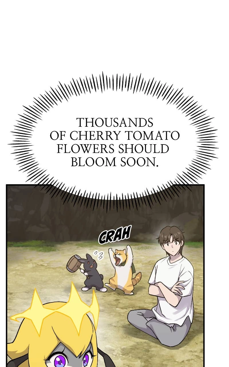 Solo Farming In The Tower Chapter 17 – The Auction Begins Meow! Page 13