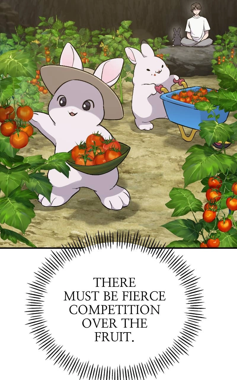 Solo Farming In The Tower Chapter 17 – The Auction Begins Meow! Page 54