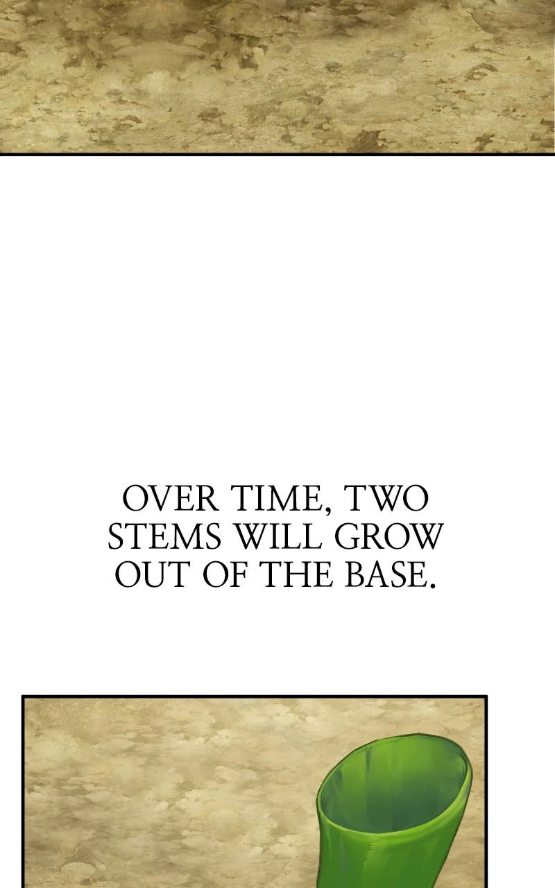 Solo Farming In The Tower Chapter 41 – How to Grow Page 74