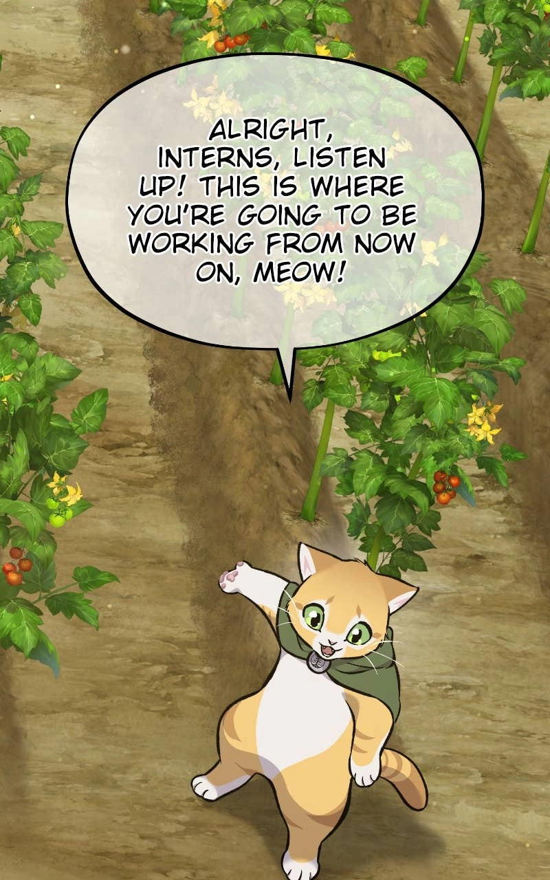 Solo Farming In The Tower Chapter 77 – New Interns Page 127