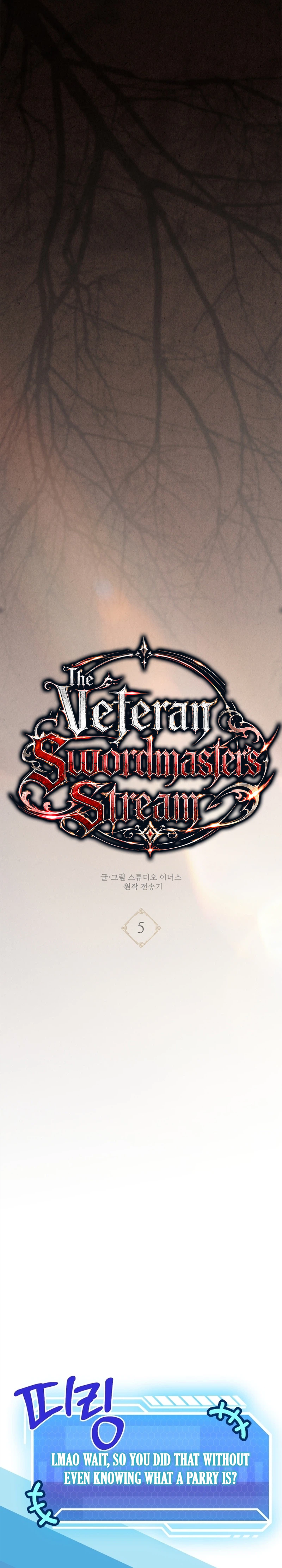 The Veteran Swordmaster’s Stream Chapter 5 Page 13