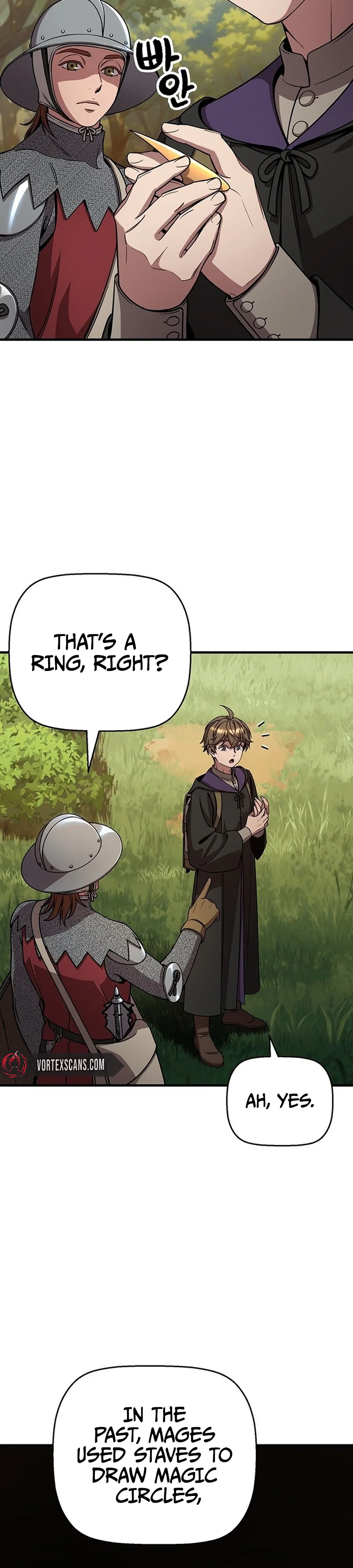 The Wizard's Notes Chapter 1 Page 39