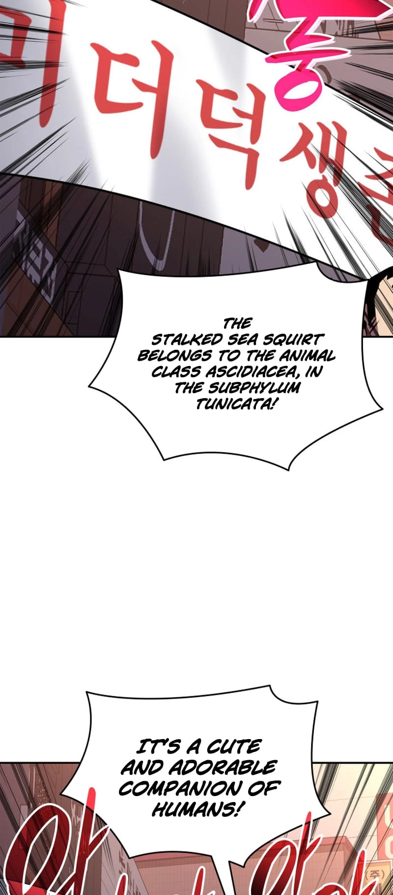 The Worn and Torn Newbie Chapter 166 Page 39