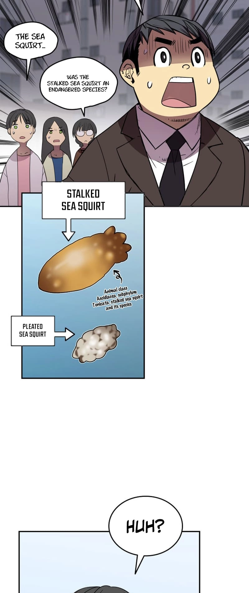 The Worn and Torn Newbie Chapter 166 Page 42