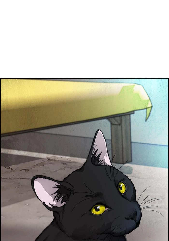 Wind Breaker Chapter 386 – S4-8 Page 205