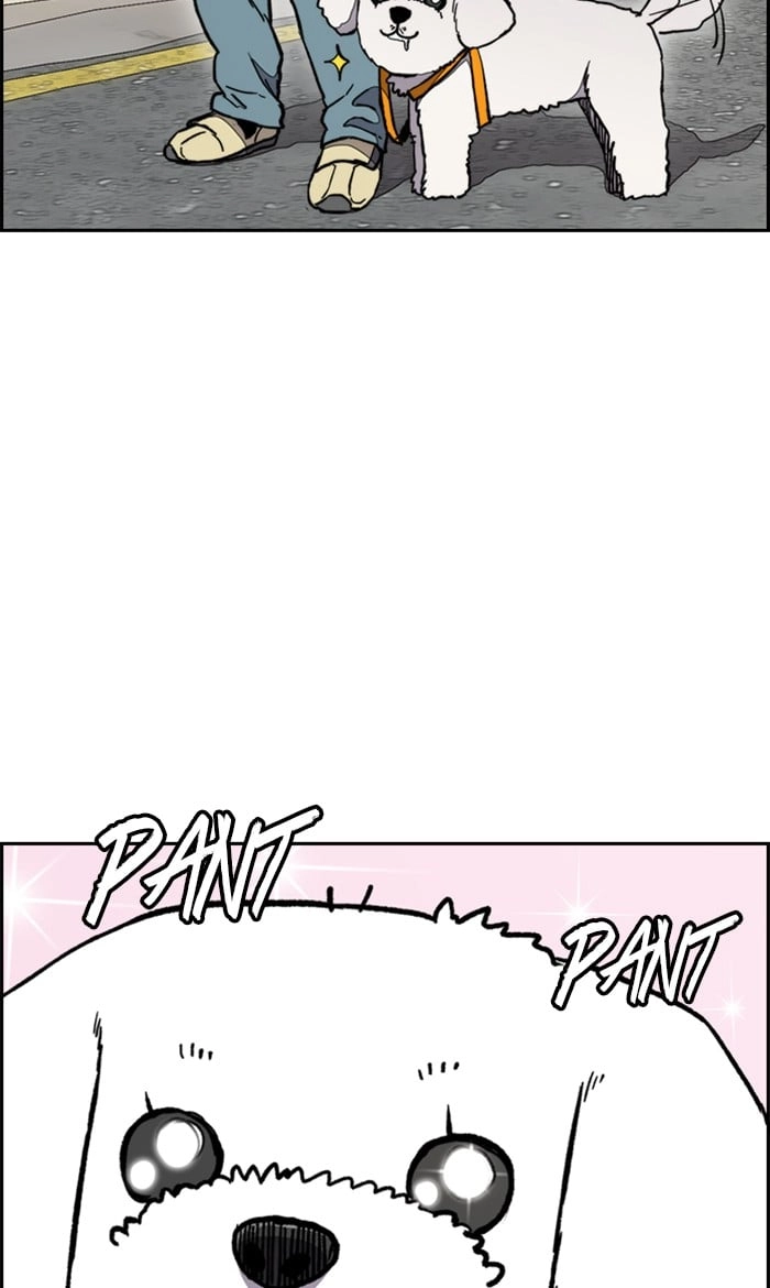 Wind Breaker Chapter 278 – S3-28 Page 52