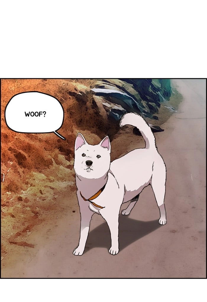 Wind Breaker Chapter 291 – S3-41 Page 94
