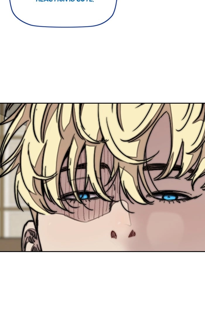 Wind Breaker Chapter 299 – S3-49 Page 66